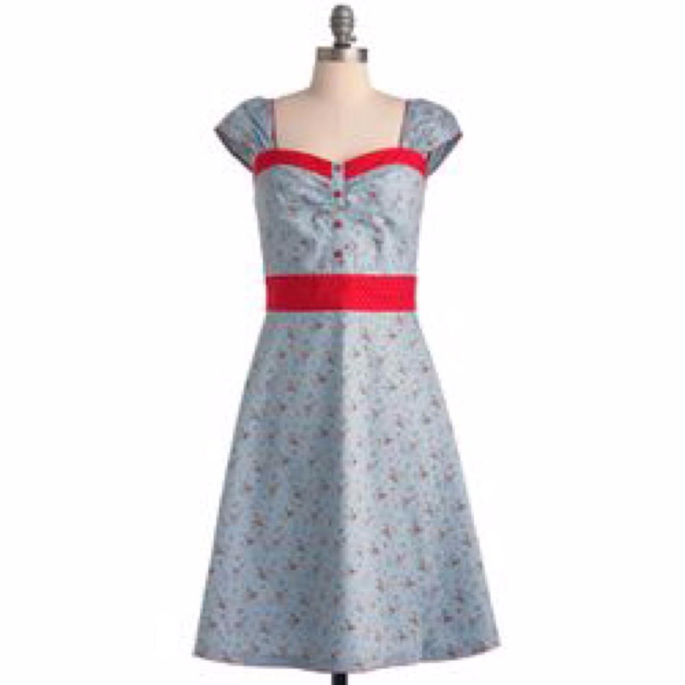 MODCLOTH ~ Medium Blue Strawberry Cobbler Fields